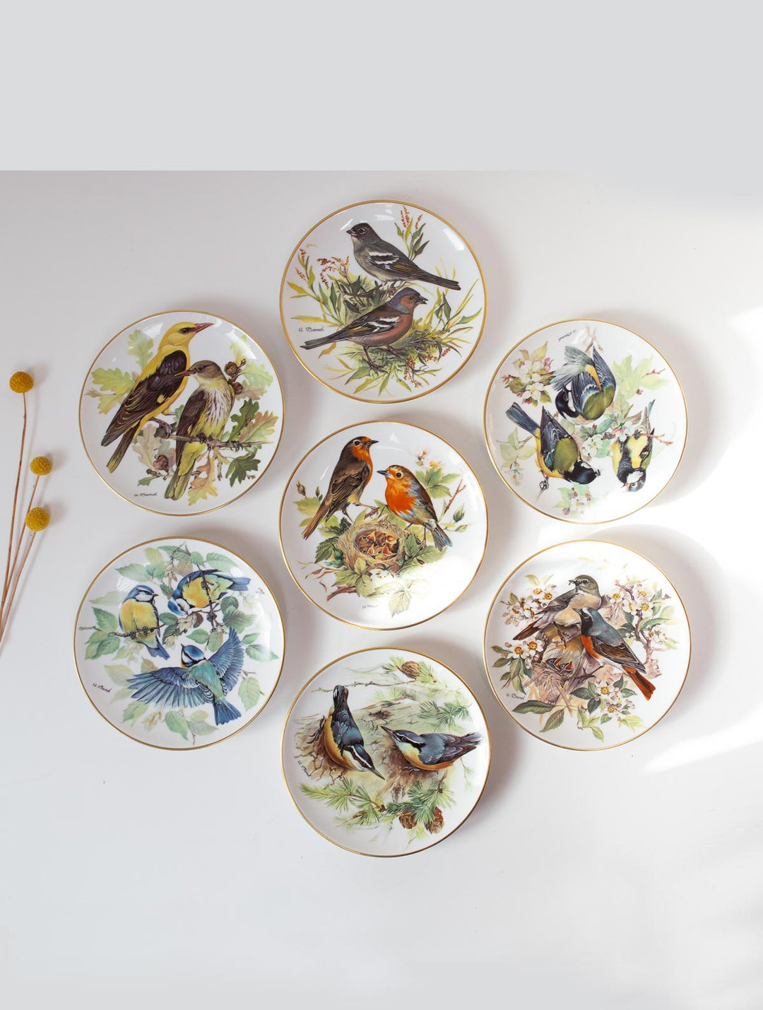 Plato decorativo pájaros WWF Ursula Band Tirschenreuth 1986 (3/7)