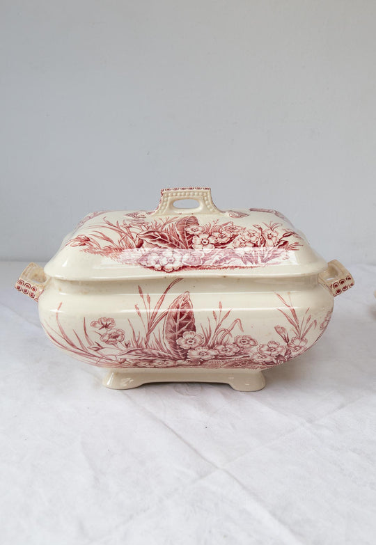 antigua sopera f&co primrose inglesa flores insectos rojo y blanco