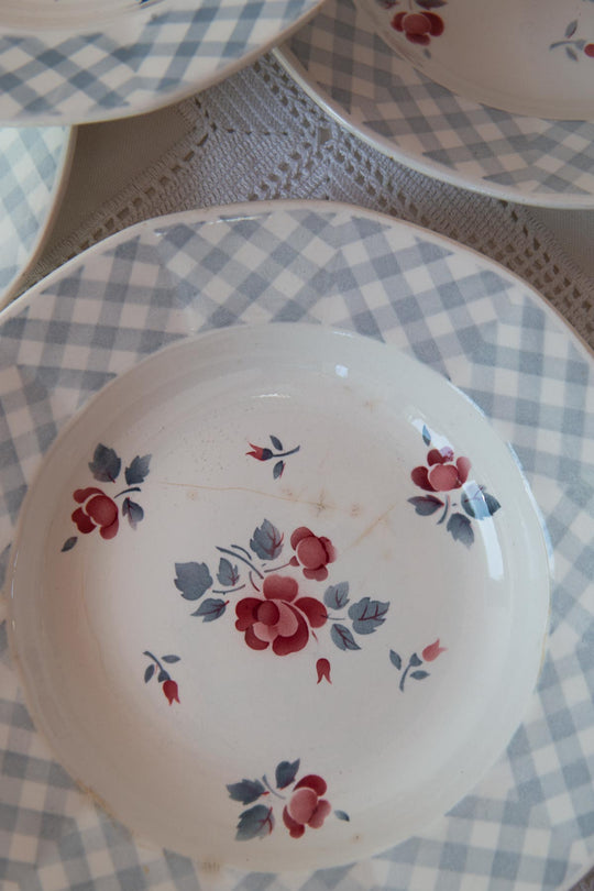 Juego 10 platos HONDOS loza francesa digoin VICHY AZUL c. 1960s (23 cm)