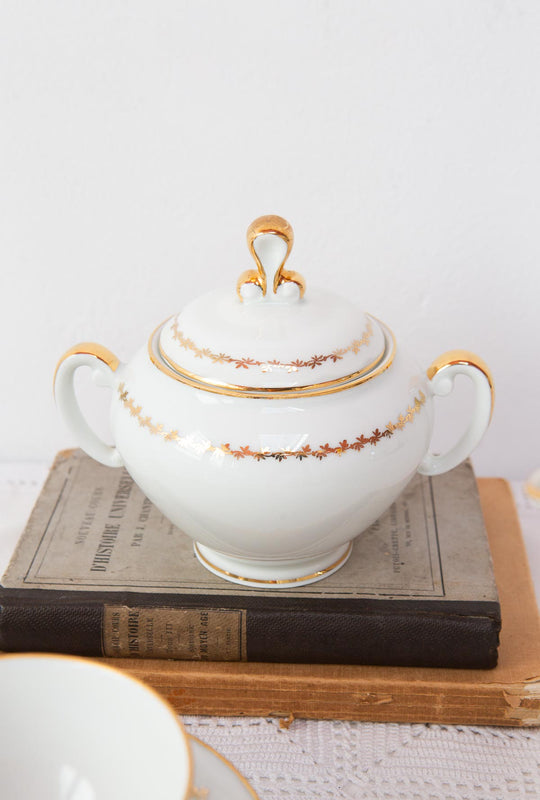 Juego de té o café para 11 porcelana francesa Limoges años 1960 (26 PIEZAS)