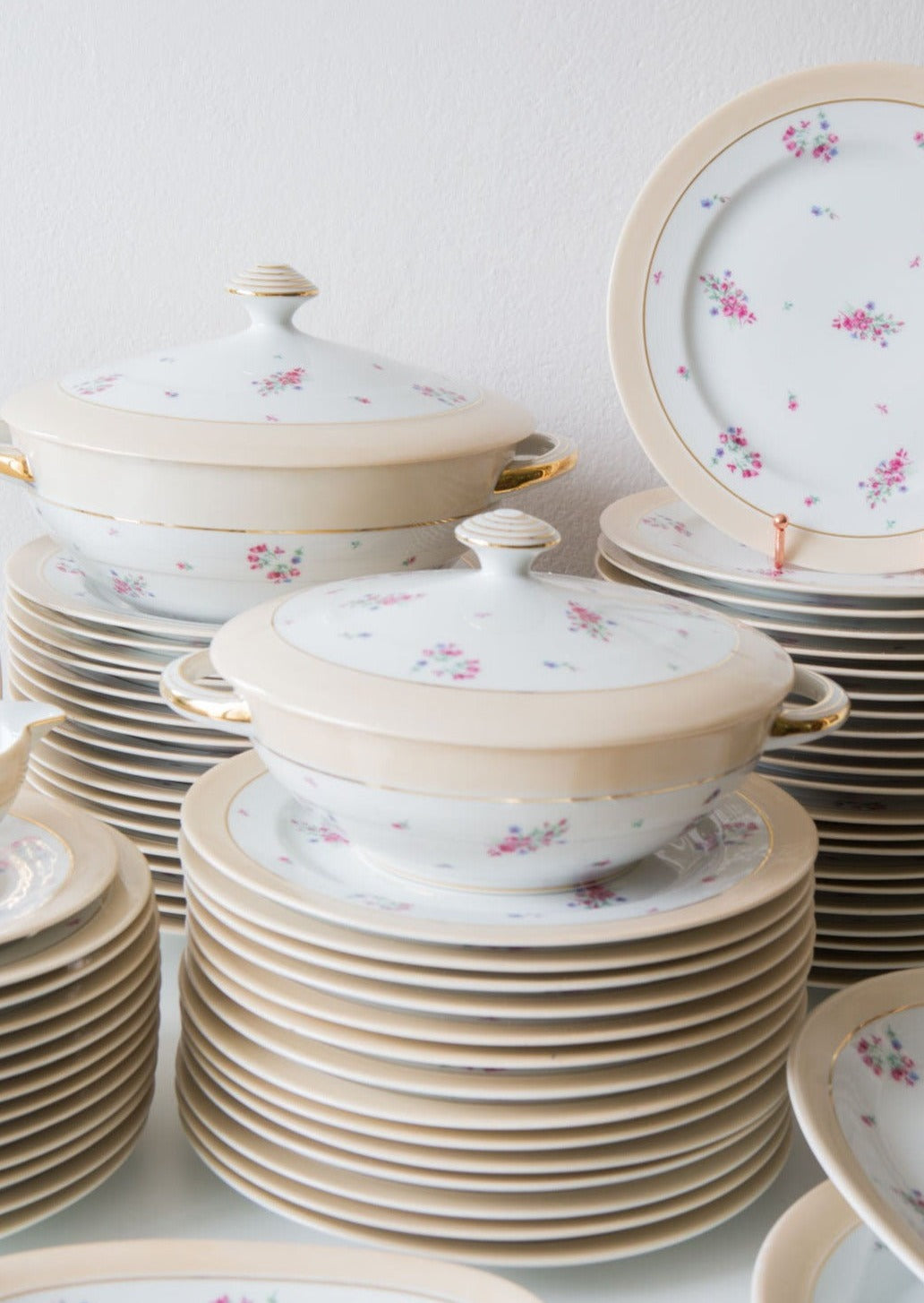 Vajilla francesa porcelana Limoges Manuguet
