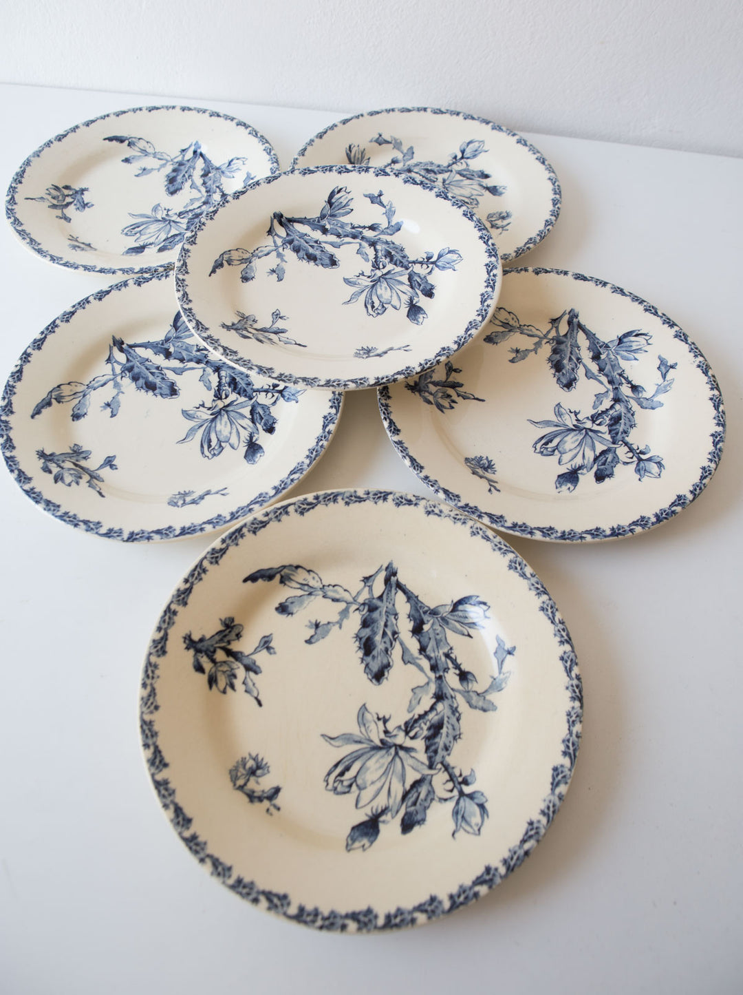 Antiguos platos llanos Cactus Gien terre de fer s. XIX (VENDIDOS)