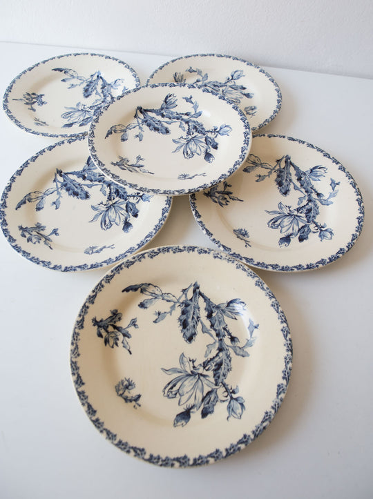 Antiguos platos llanos Cactus Gien terre de fer s. XIX (VENDIDOS)