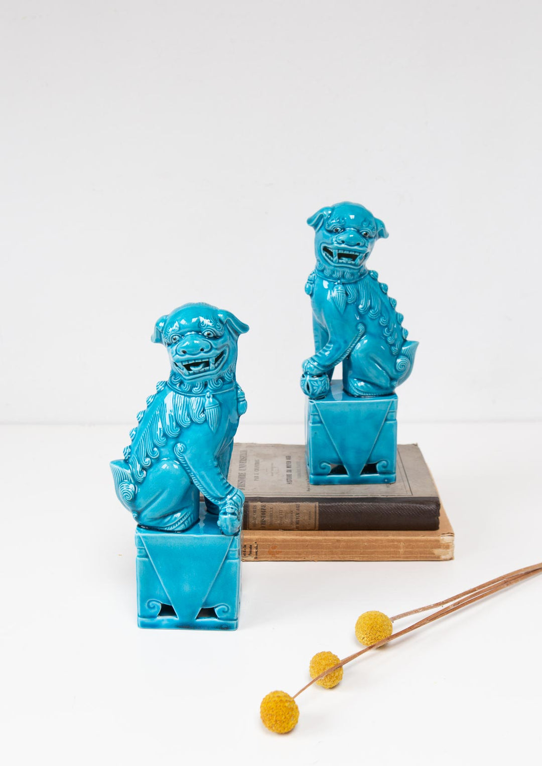 foo dogs porcelana china azul