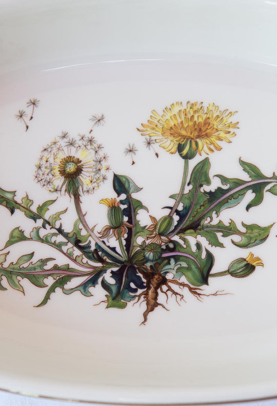 fuentes botanica villeroy boch