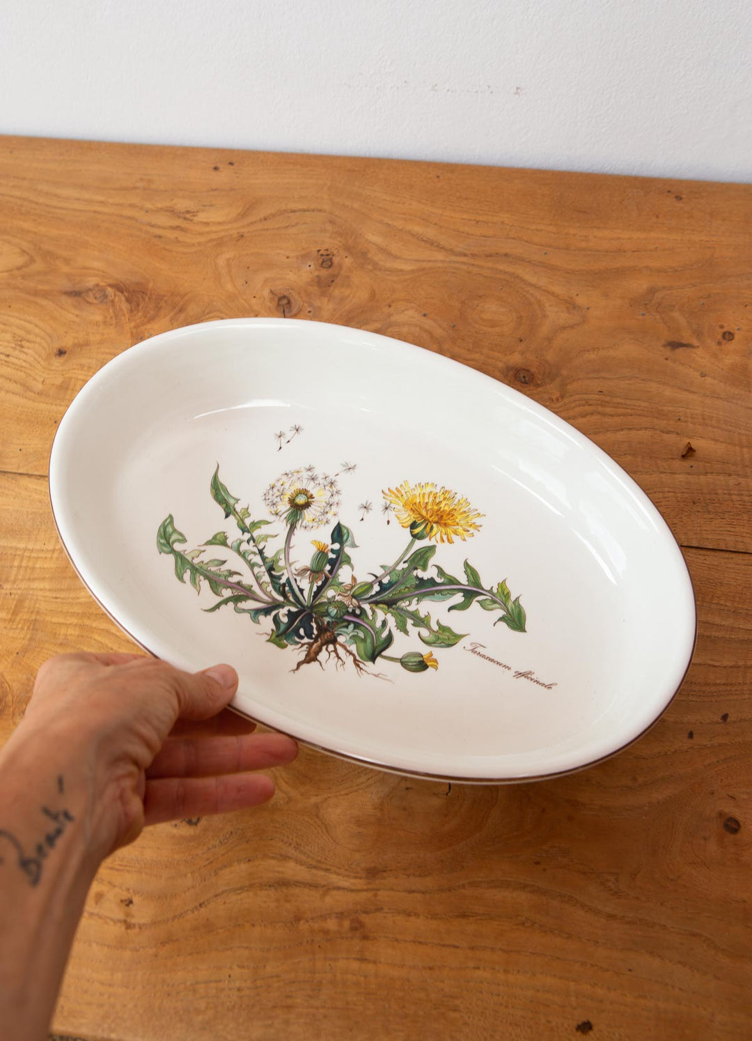 fuentes botanica villeroy boch