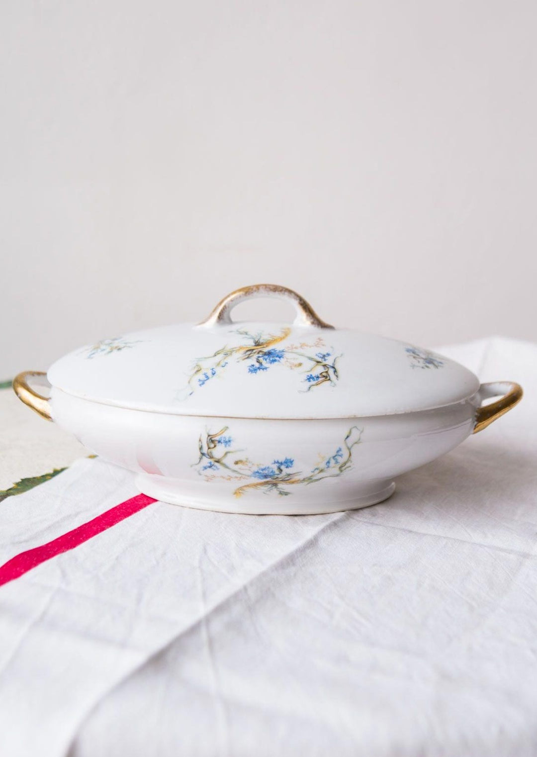 Sopera porcelana A. Hache finales XIX antique french limoges tureen
