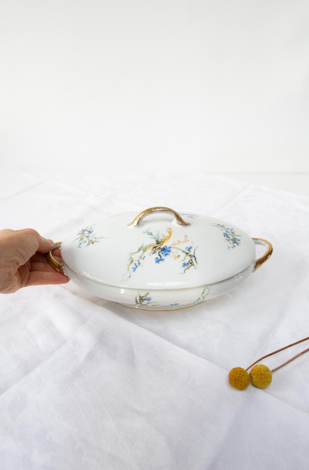 antigua sopera porcelana adolphe hache vierzon  antique french tureen