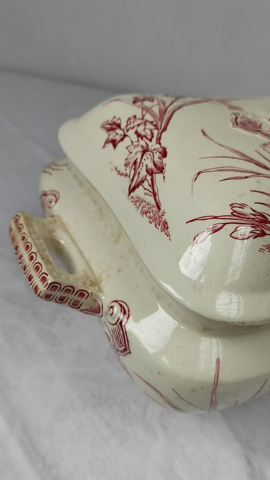 Antigua sopera inglesa con fuente Primrose F&Co ironstone c. 1850-1880