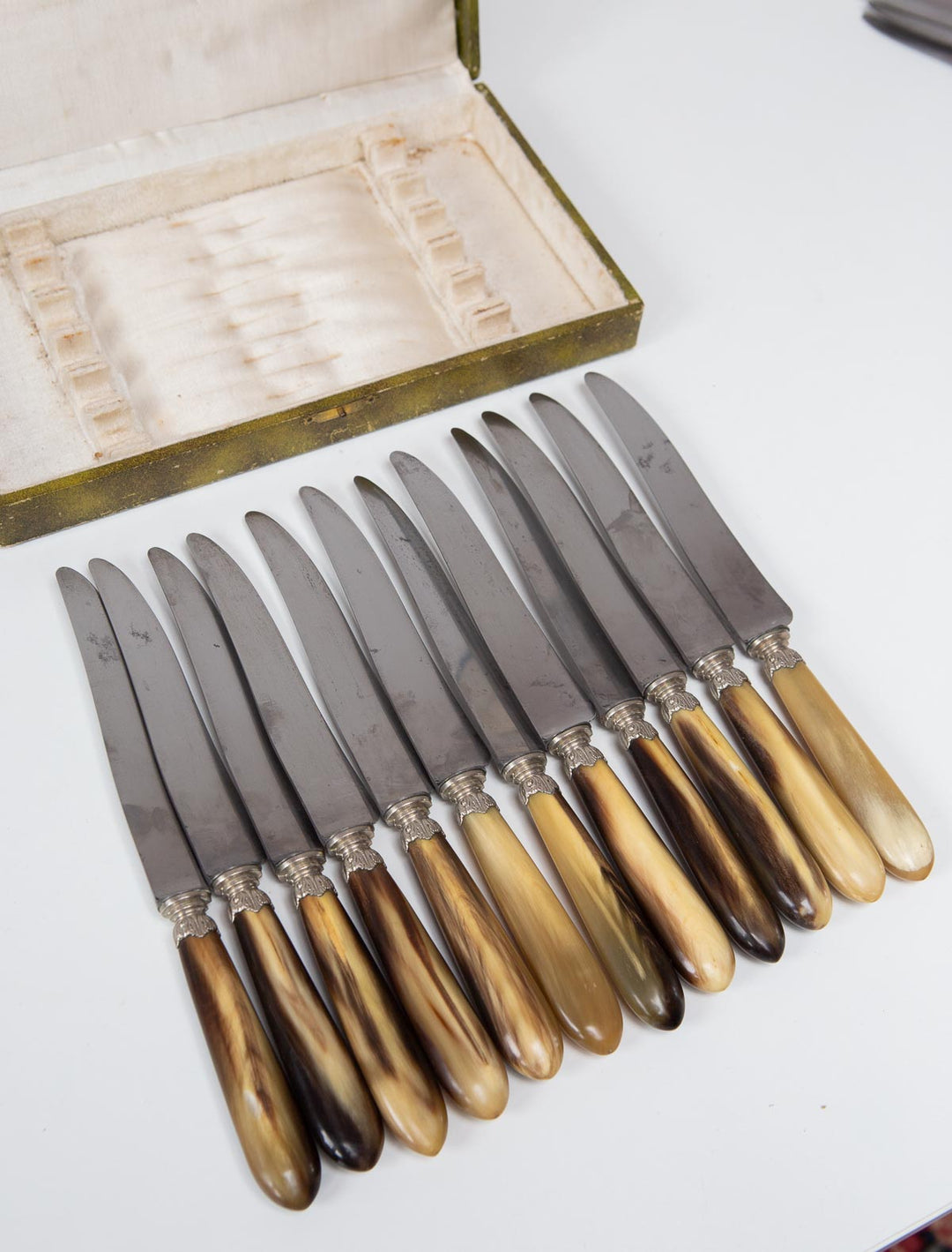 Set 12 antiguos cuchillos asta en estuche (25,5 cm)