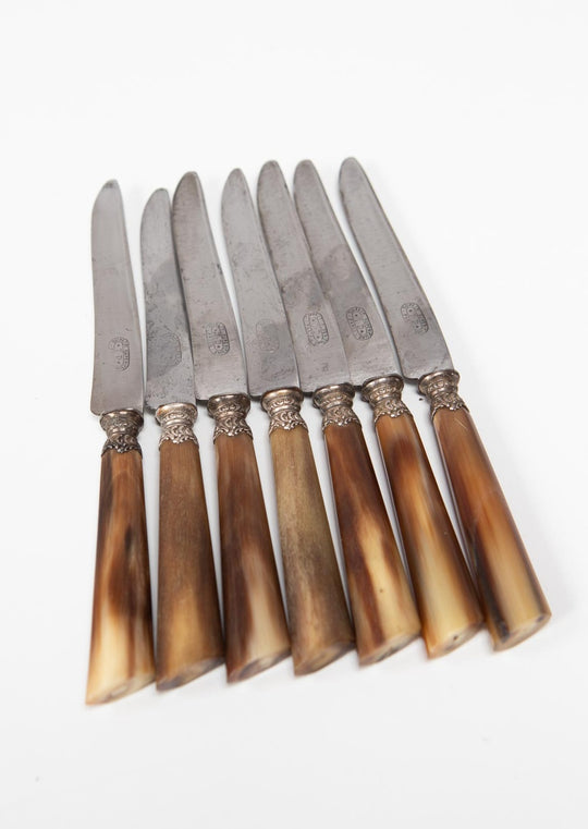 Juego 7 antiguos cuchillos franceses asta (20 cm)