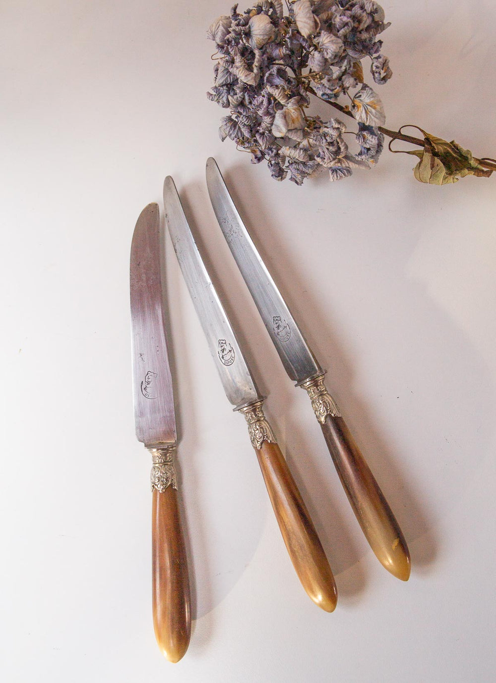 Juego 3 antiguos cuchillos mangos asta (25 cm)
