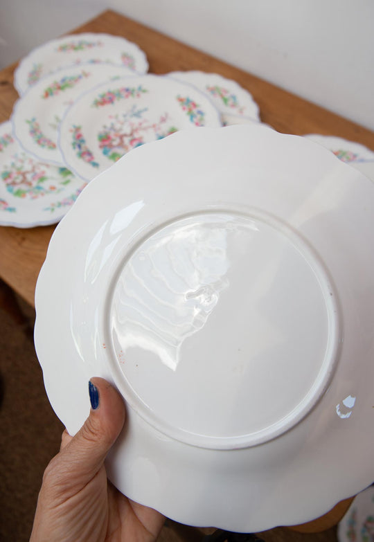 Antiguos platos ingleses porcelana 23 cm english dinner plates