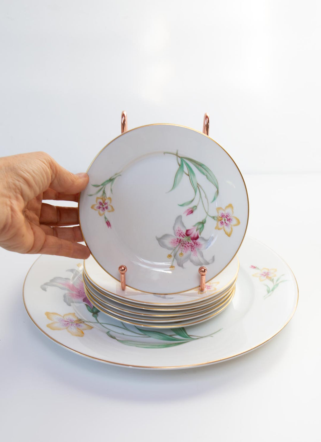Juego postre porcelana alemana Rosenthal (7 PIEZAS)