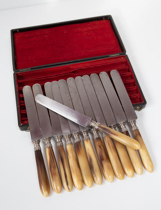 Juego 12 antiguos cuchillos franceses en estuche (25,5 cm)