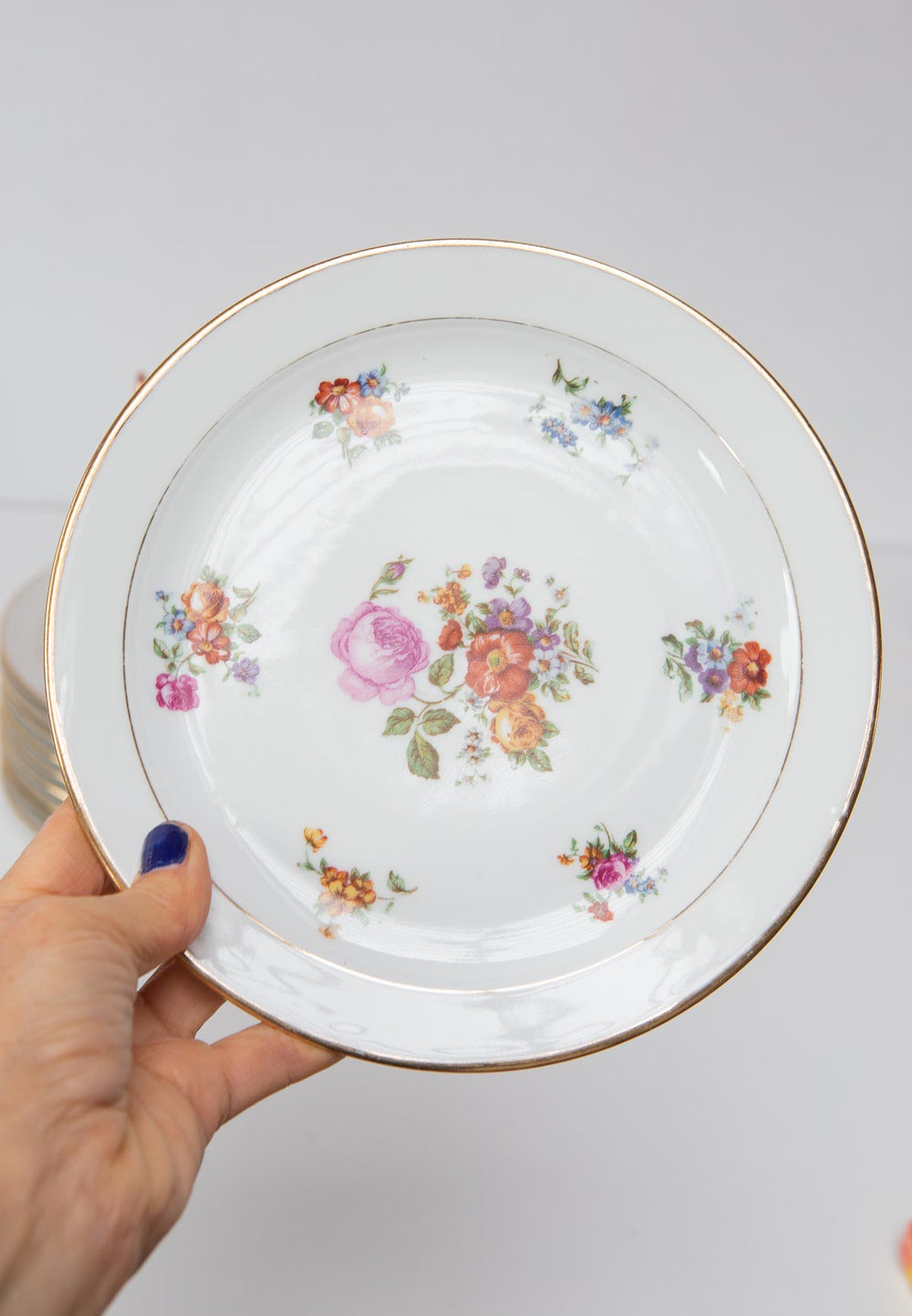 Juego 10 platos porcelana Lourioux vintage french dinner plates with flowers