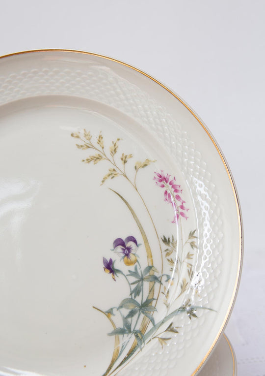 Juego de vajilla alemana porcelana Santa Clara y Königsporzellan (17 PIEZAS)