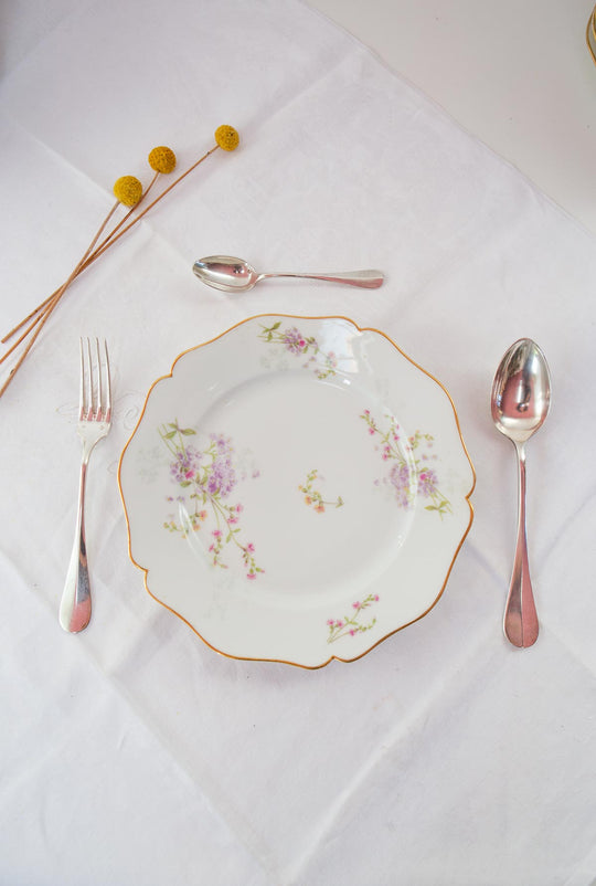 antigua vajilla porcelana limoges w guerin co 1900 antique french dinner service