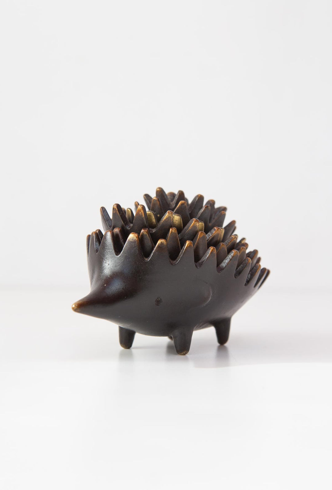 erizos walter bosse hedgehogs