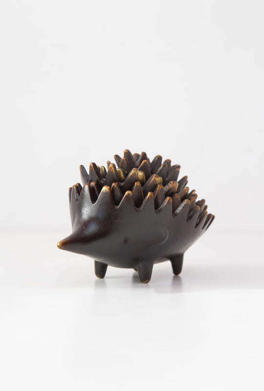 erizos walter bosse hedgehogs