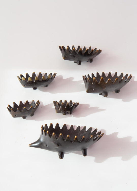 erizos walter bosse hedgehogs