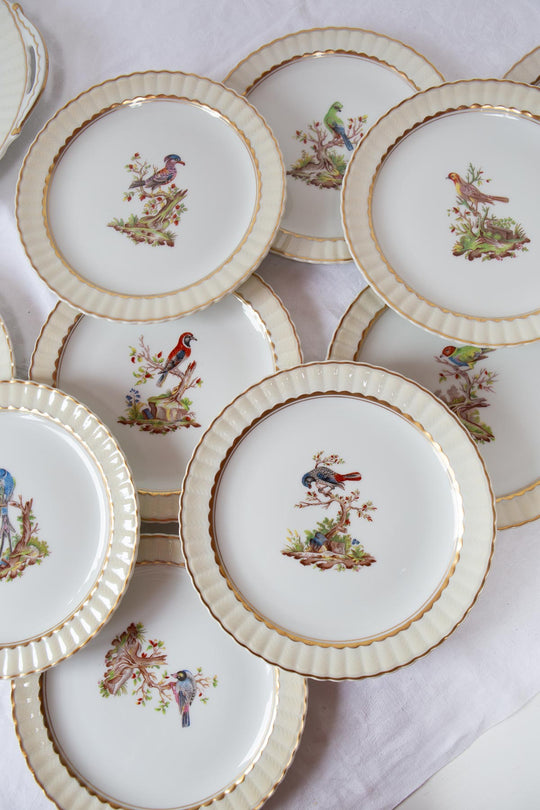 Juego de postre porcelana pájaros Limoges BERNARDAUD c. 1910 (12 servicios)