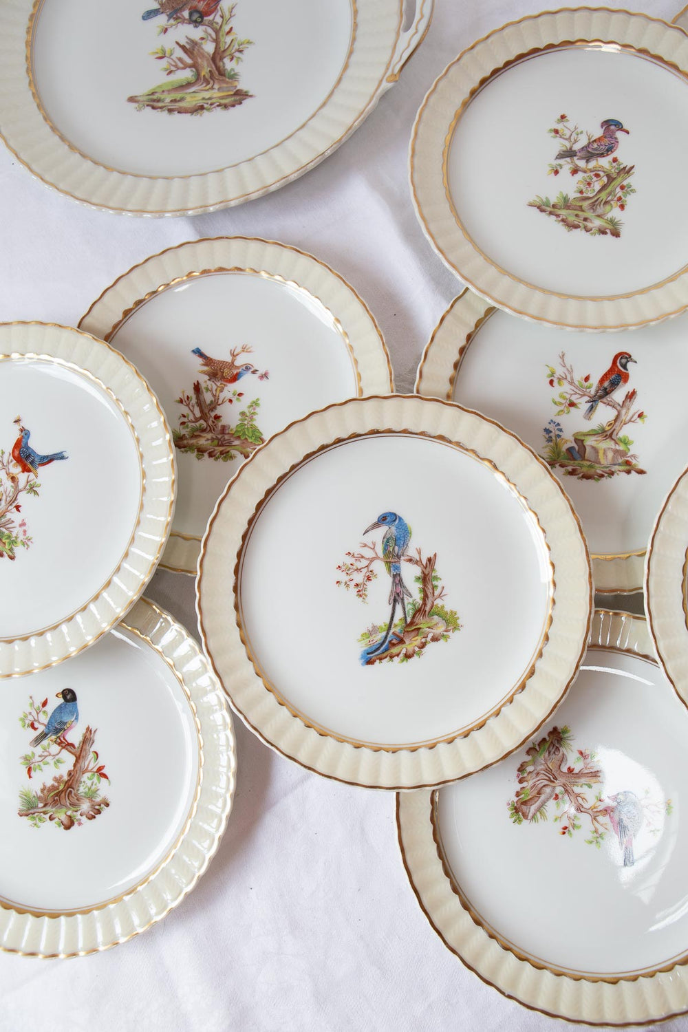 Juego de postre porcelana pájaros Limoges BERNARDAUD c. 1910 (12 servicios)