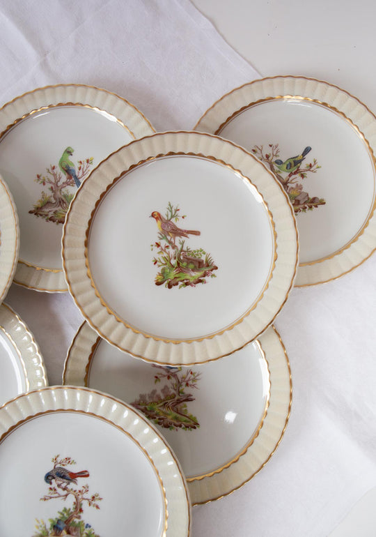 Juego de postre porcelana pájaros Limoges BERNARDAUD c. 1910 (12 servicios)