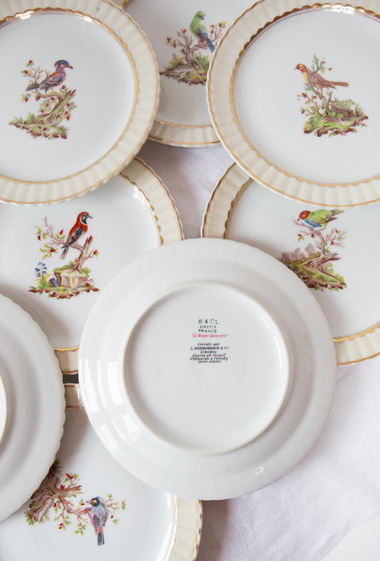 Juego de postre porcelana pájaros Limoges BERNARDAUD c. 1910 (12 servicios)