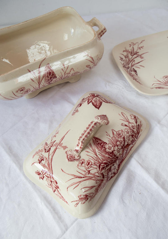 Antigua sopera inglesa con fuente Primrose F&Co ironstone c. 1900