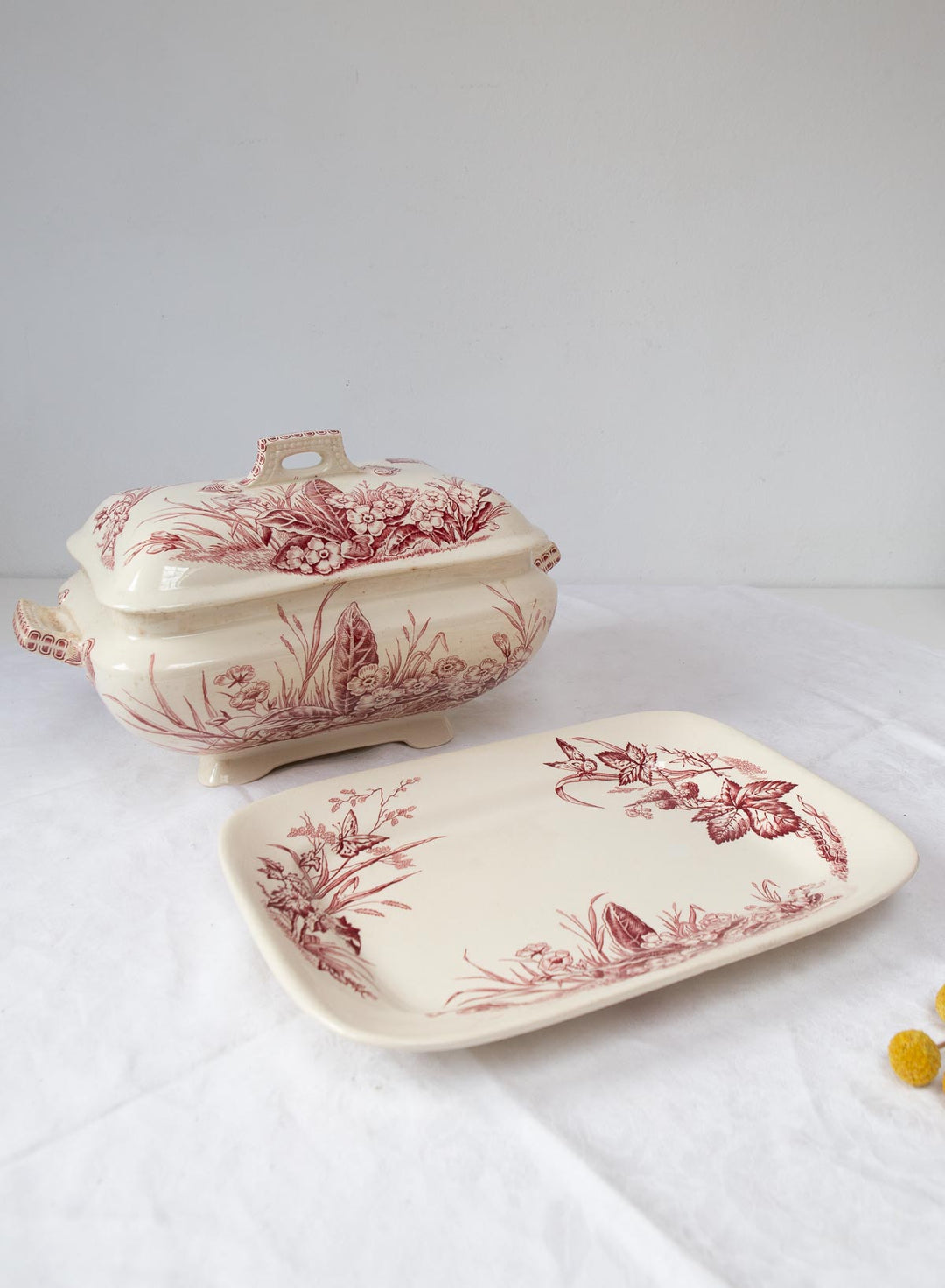 Antigua sopera inglesa con fuente Primrose F&Co ironstone c. 1900