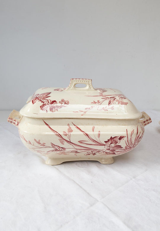 Antigua sopera inglesa con fuente Primrose F&Co ironstone c. 1900