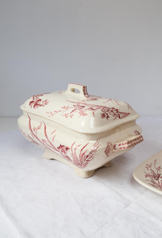 Antigua sopera inglesa con fuente Primrose F&Co ironstone c. 1900