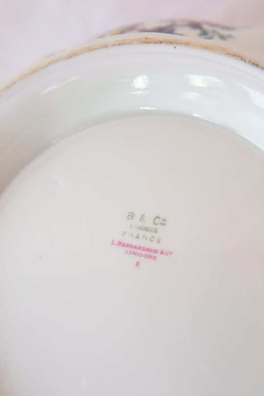 Antigua sopera porcelana Limoges Bernardaud ave paraíso