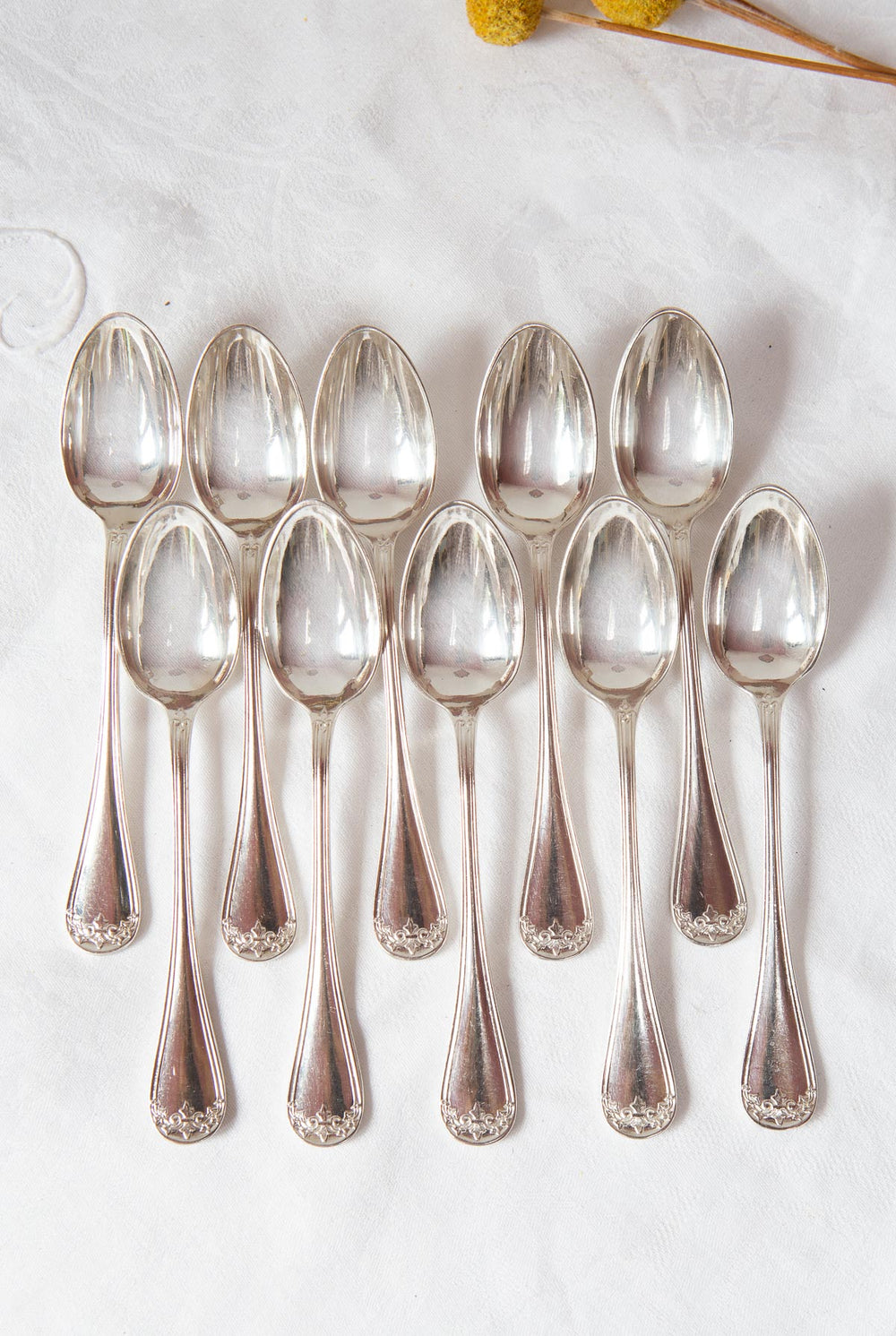 Juego 10 cucharillas metal baño plata ERCUIS FLEUR DE LYS