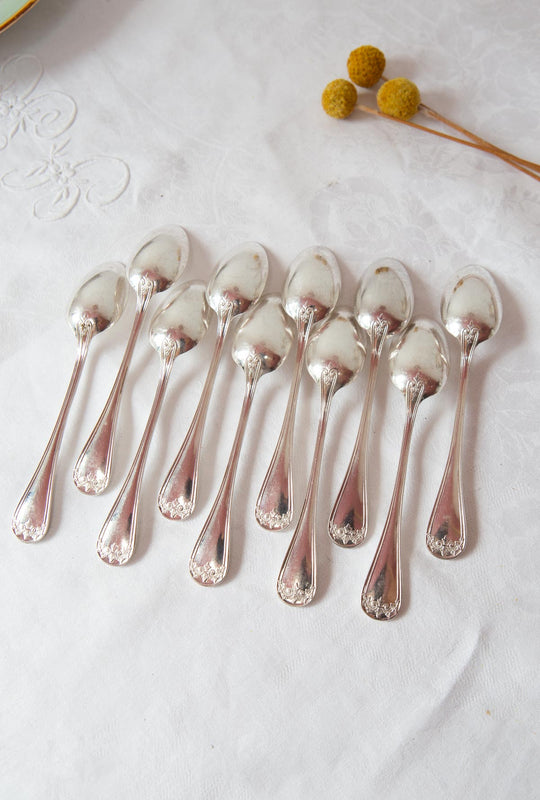 Juego 10 cucharillas metal baño plata ERCUIS FLEUR DE LYS