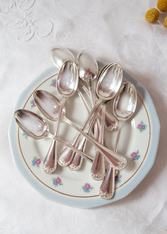 Juego 10 cucharillas metal baño plata ERCUIS FLEUR DE LYS