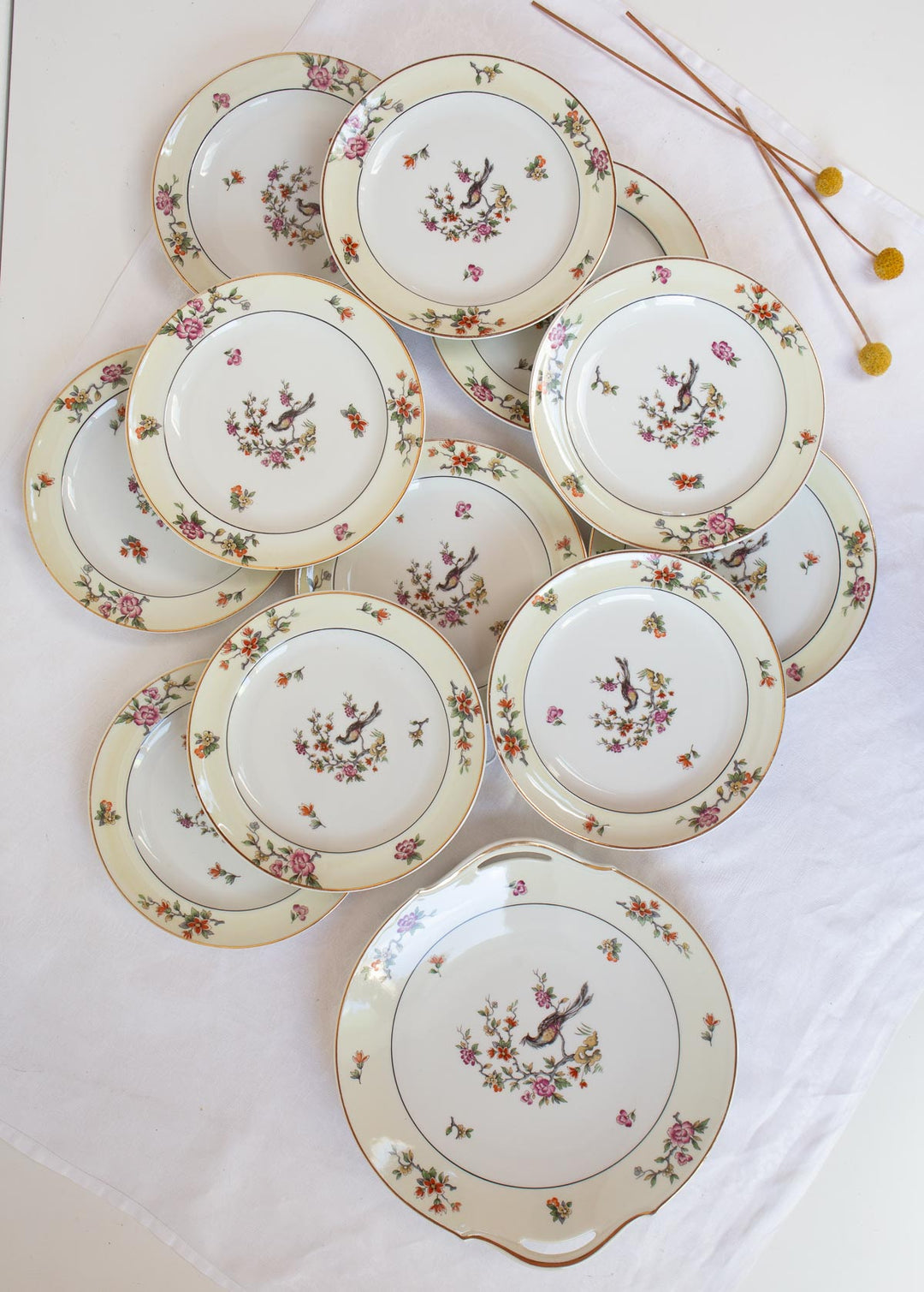 juego postre porcelana limoges lanternier ave paraiso