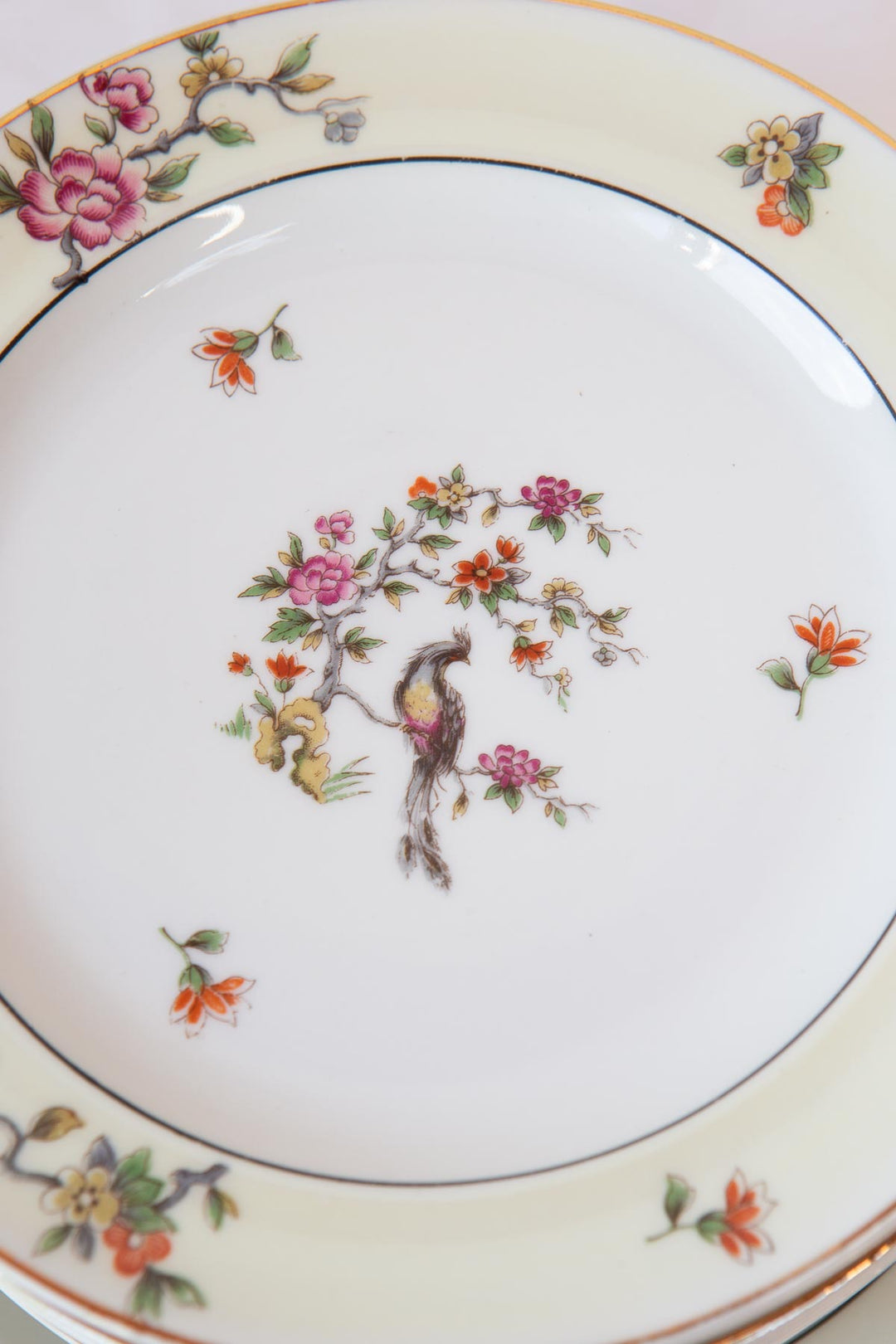 juego postre porcelana limoges lanternier ave paraiso