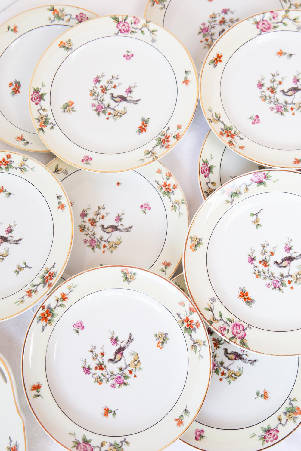 juego postre porcelana limoges lanternier ave paraiso