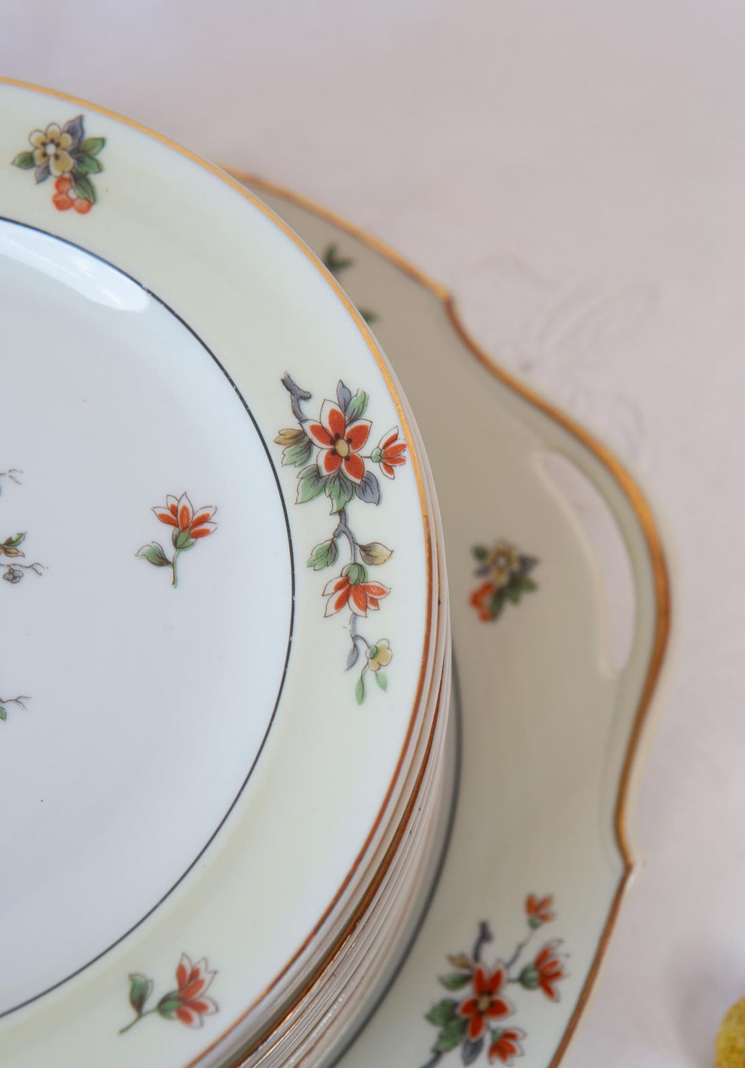 Juego de postre Limoges LANTERNIER ave paraíso c. 1910 (11 SERVICIOS)