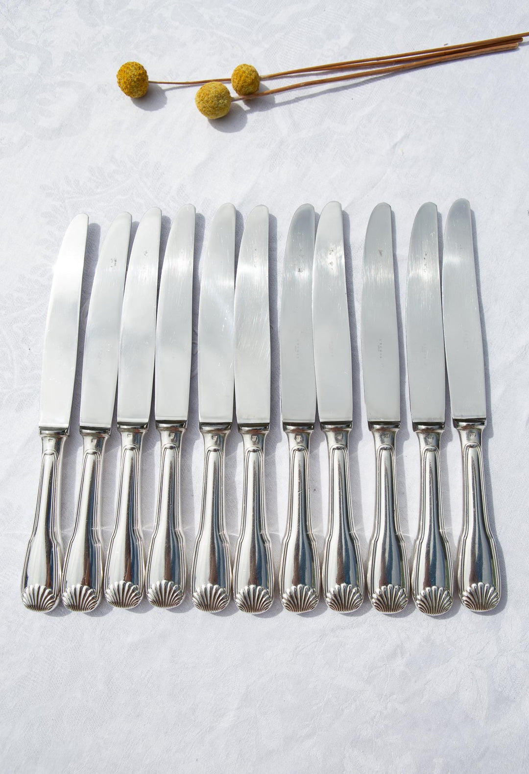 Juego 11 cuchillos MESA franceses ERCUIS modelo Coquille
