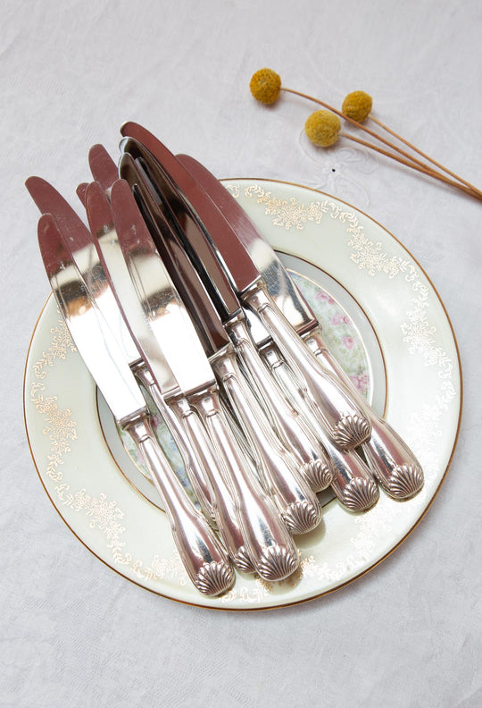Juego 11 cuchillos MESA franceses ERCUIS modelo Coquille