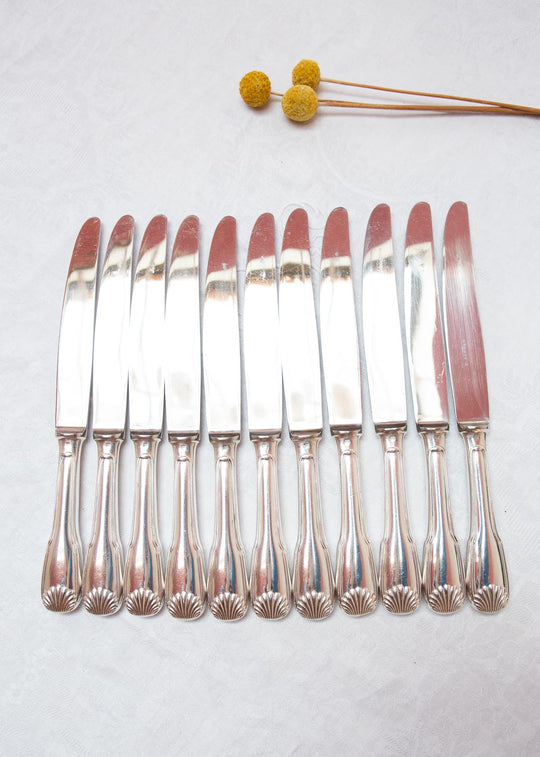 Juego 11 cuchillos MESA franceses ERCUIS modelo Coquille