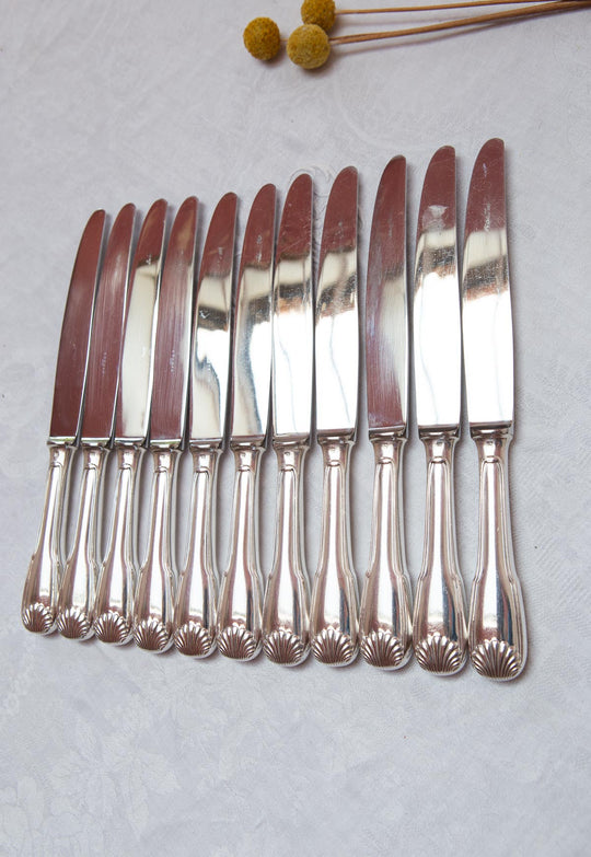 Juego 11 cuchillos MESA franceses ERCUIS modelo Coquille