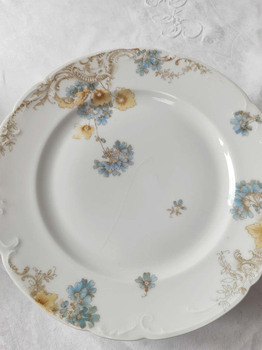 Juego de 8 platos llanos porcelana alemana Fritz Pfeffer (Gotha) c. 1900–1930s