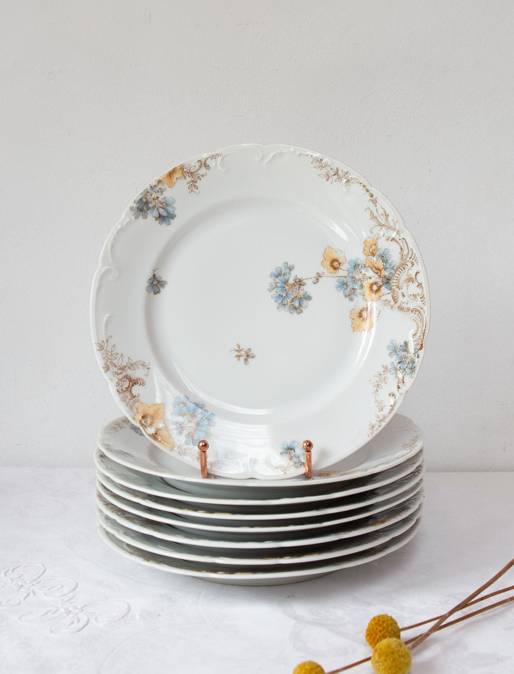 antiguos platos porcelana alemana