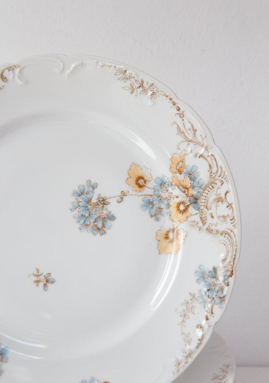 Juego de 8 platos llanos porcelana alemana Fritz Pfeffer (Gotha) c. 1900–1930s