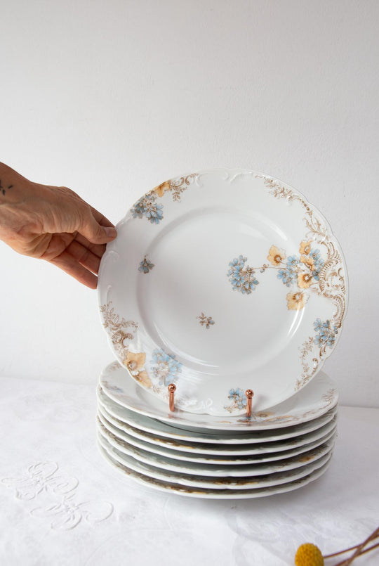 Juego de 8 platos llanos porcelana alemana Fritz Pfeffer (Gotha) c. 1900–1930s