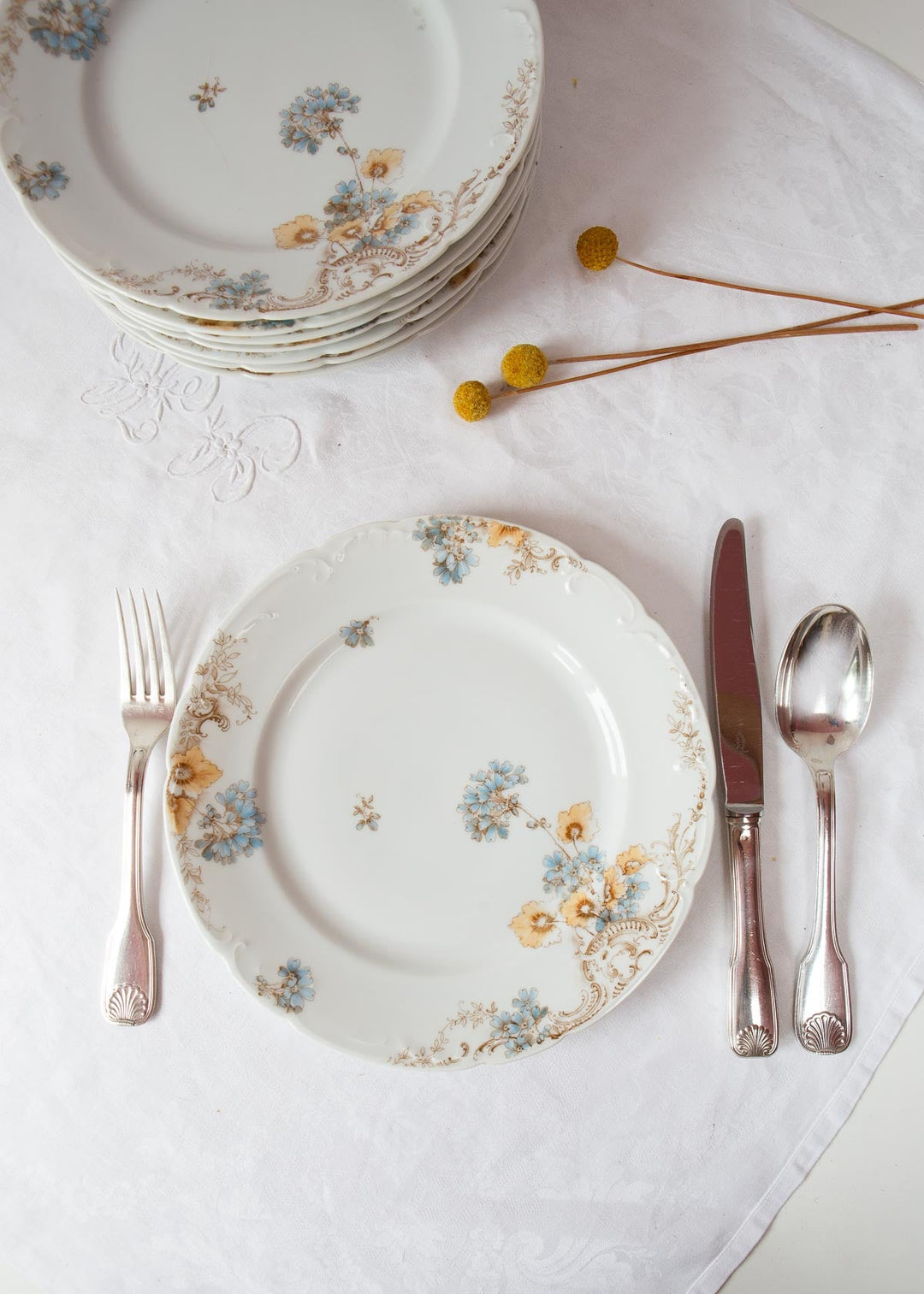 antiguos platos porcelana alemana